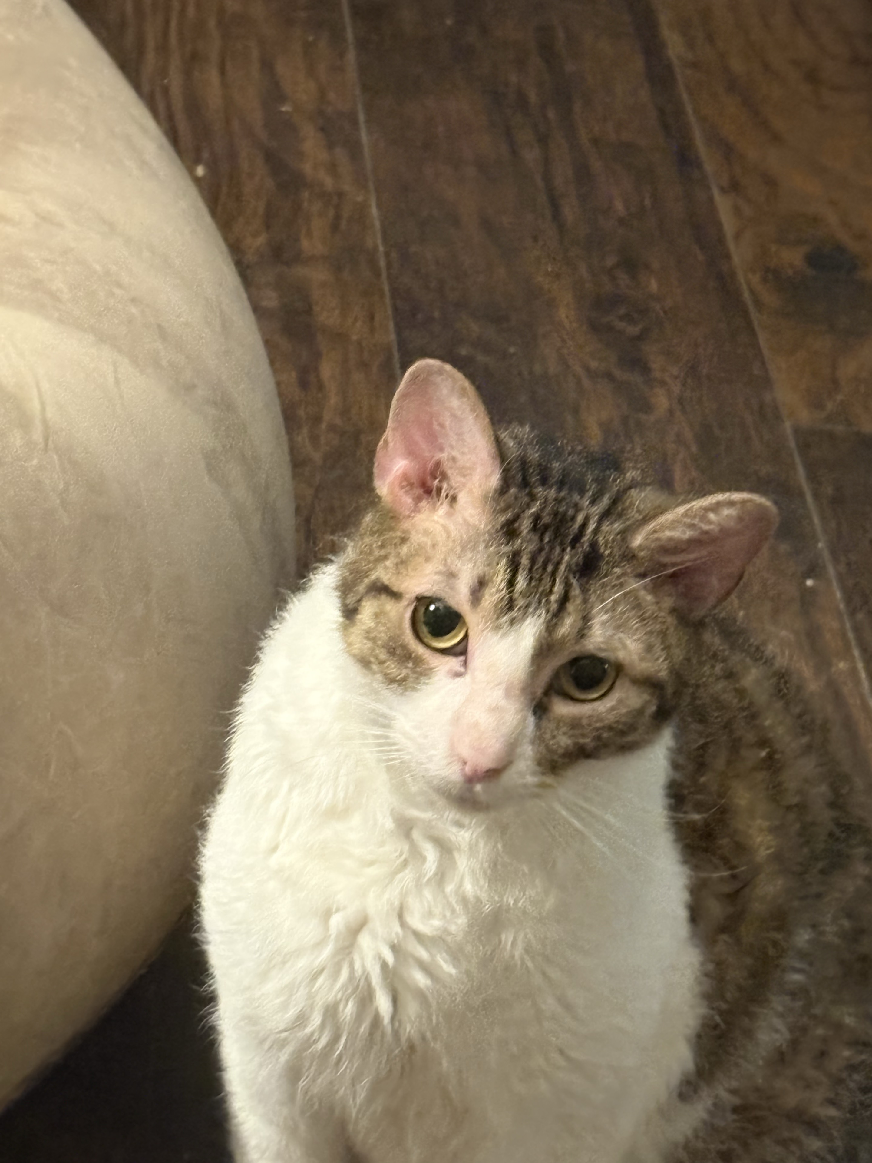 The moment he looks up at the camera.