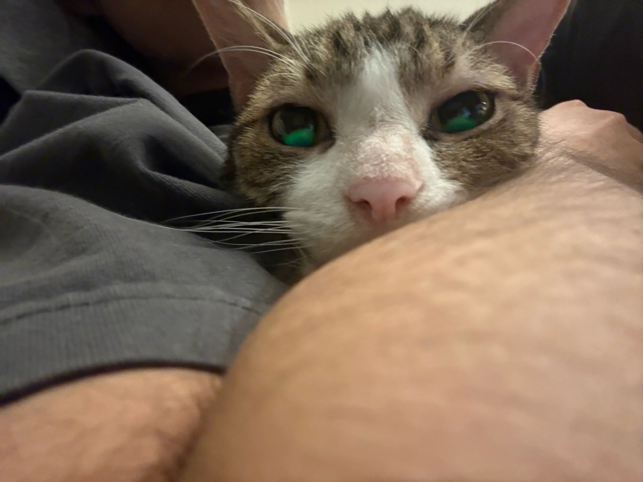 Leaning in the arms, only a small face is exposed.
