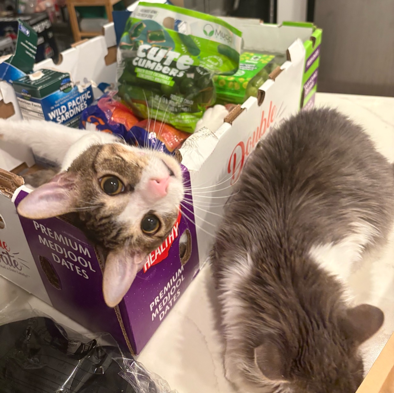 One lies in the carton, and the other is close to the side.