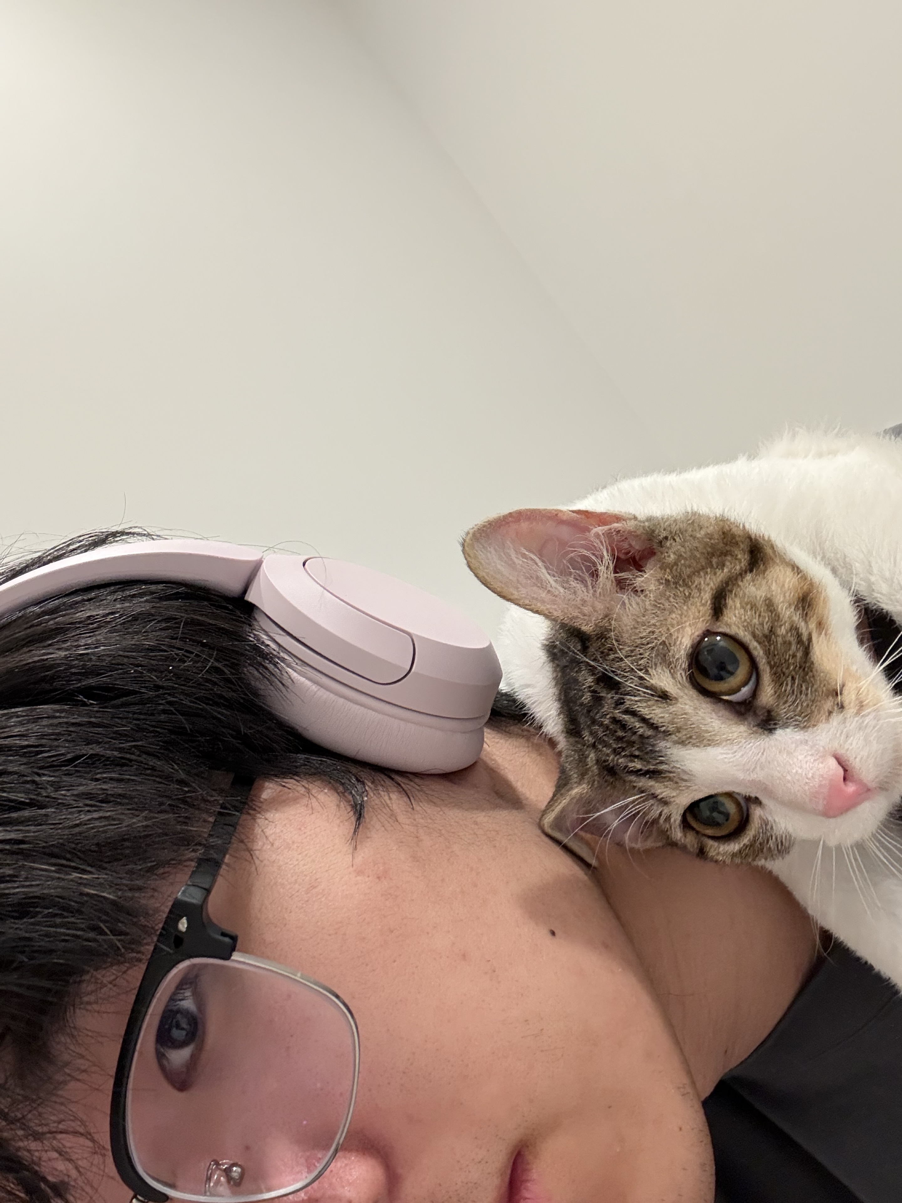 Next to the earphones, there is an extra little head.